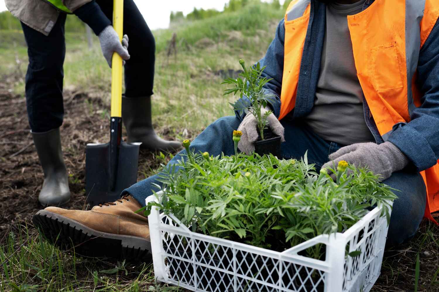 Best Emergency Tree Service  in Harlem Heights, FL